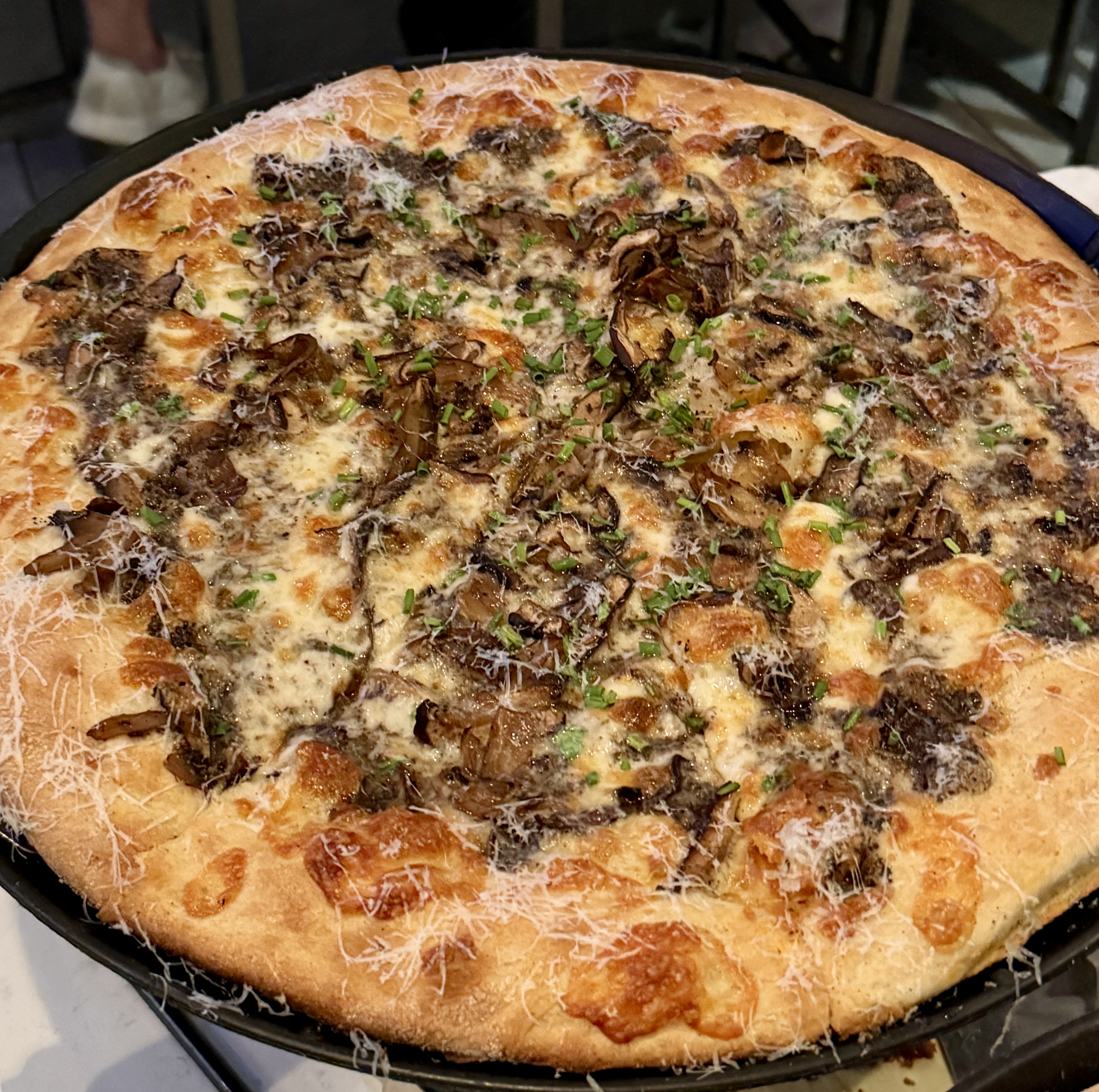 Fungi pizza at Pizzata Philadelphia